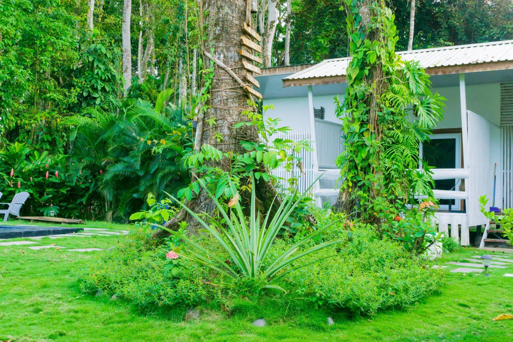 Olivia Del Caribe Suite Puerto Viejo de Talamanca Exterior photo